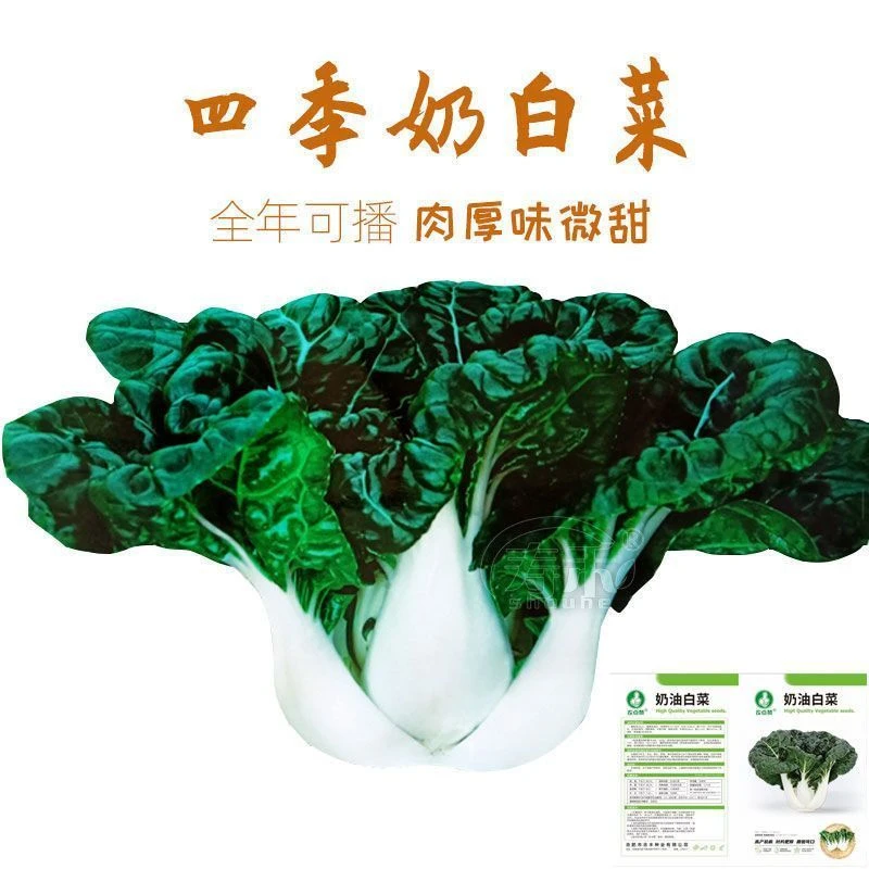 原装 奶油白菜种子 黑叶矮脚奶白菜种籽四季播脆甜小白菜蔬菜种子