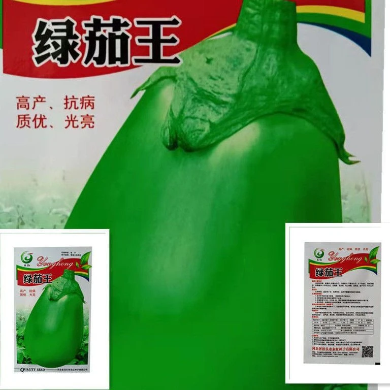 正宗绿茄王茄种子播种庭院盆栽早熟茄子蔬菜种子青皮茄子种四季籽