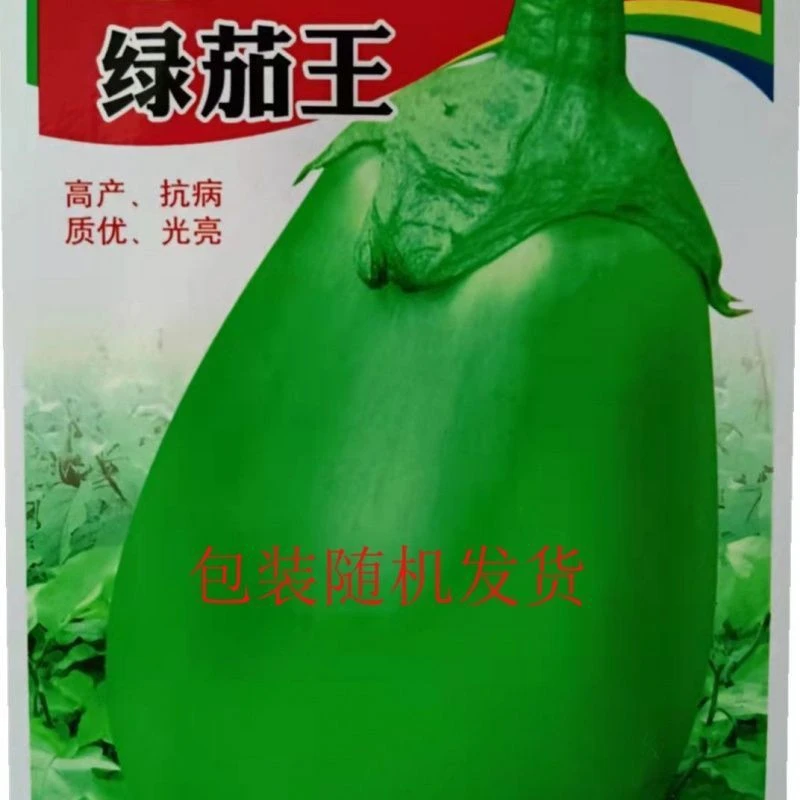 绿茄子王种子高产绿茄子绿罐茄种籽四季蔬菜种孑耐寒春季秋菜种