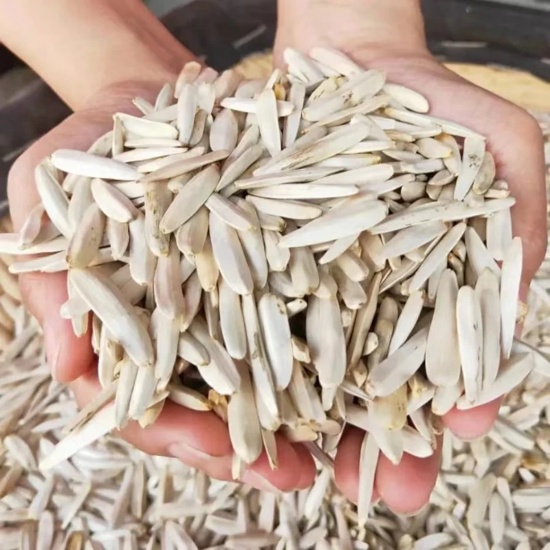 新疆特产吃嘴精灵阿克苏牙签白瓜子月牙瓜子袋装长粒休闲零食