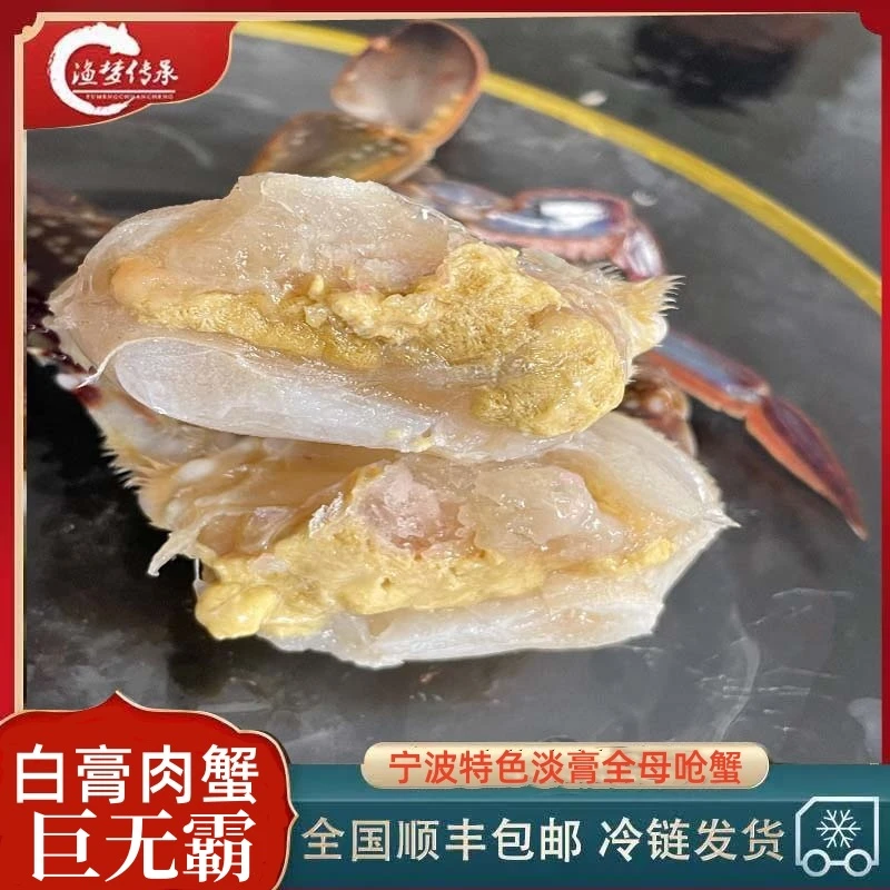 【巨无霸肉蟹】白膏肉蟹呛蟹单只净重6-8两白膏肉蟹醉蟹生腌梭子蟹