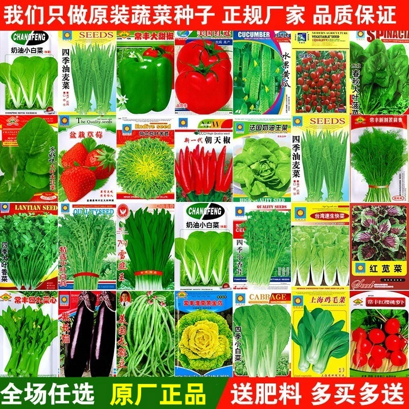 【原厂包装】园艺蔬菜种子四季盆栽阳台生菜香菜辣椒番茄籽孑大全