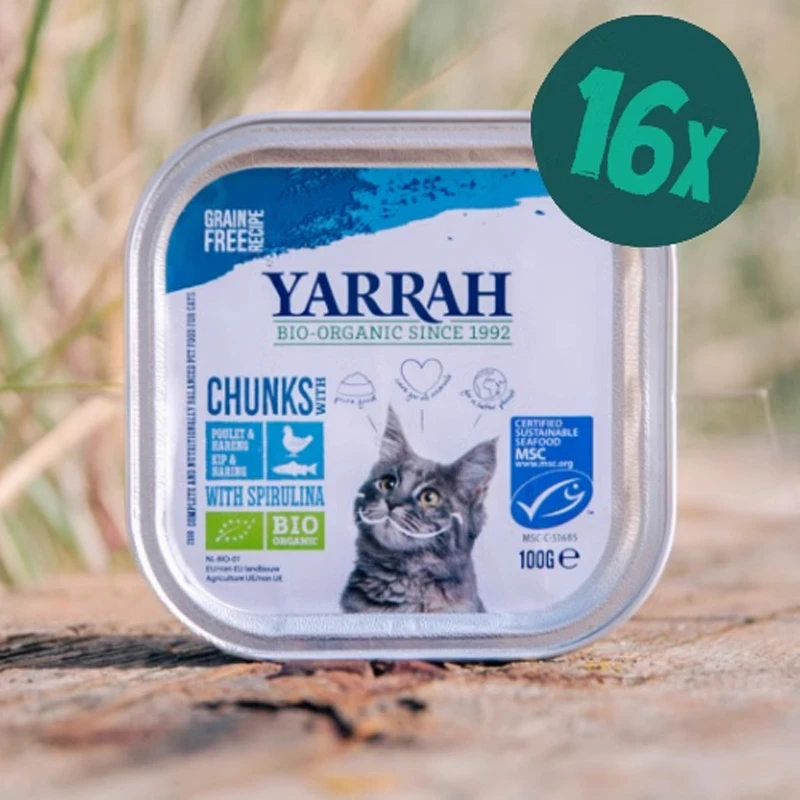 德国Yarrah猫餐盒100g*6盒（24年6月份到期）