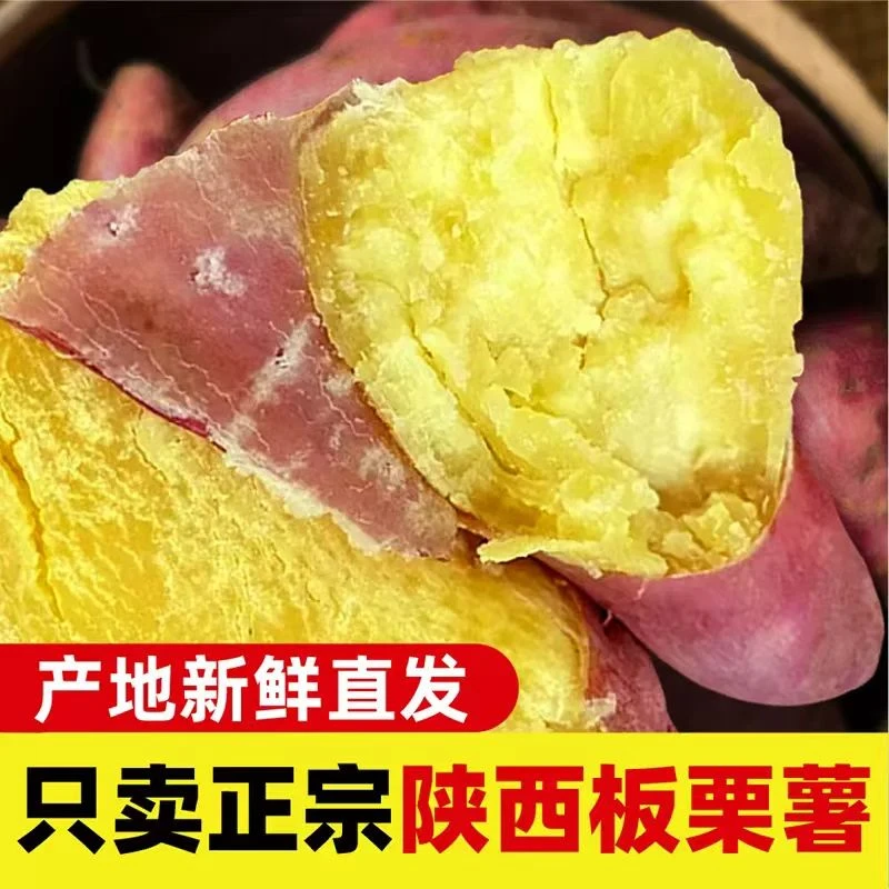 陕西当季正宗板栗红薯现挖新鲜红皮黄心粉面地瓜番薯农家自种香薯