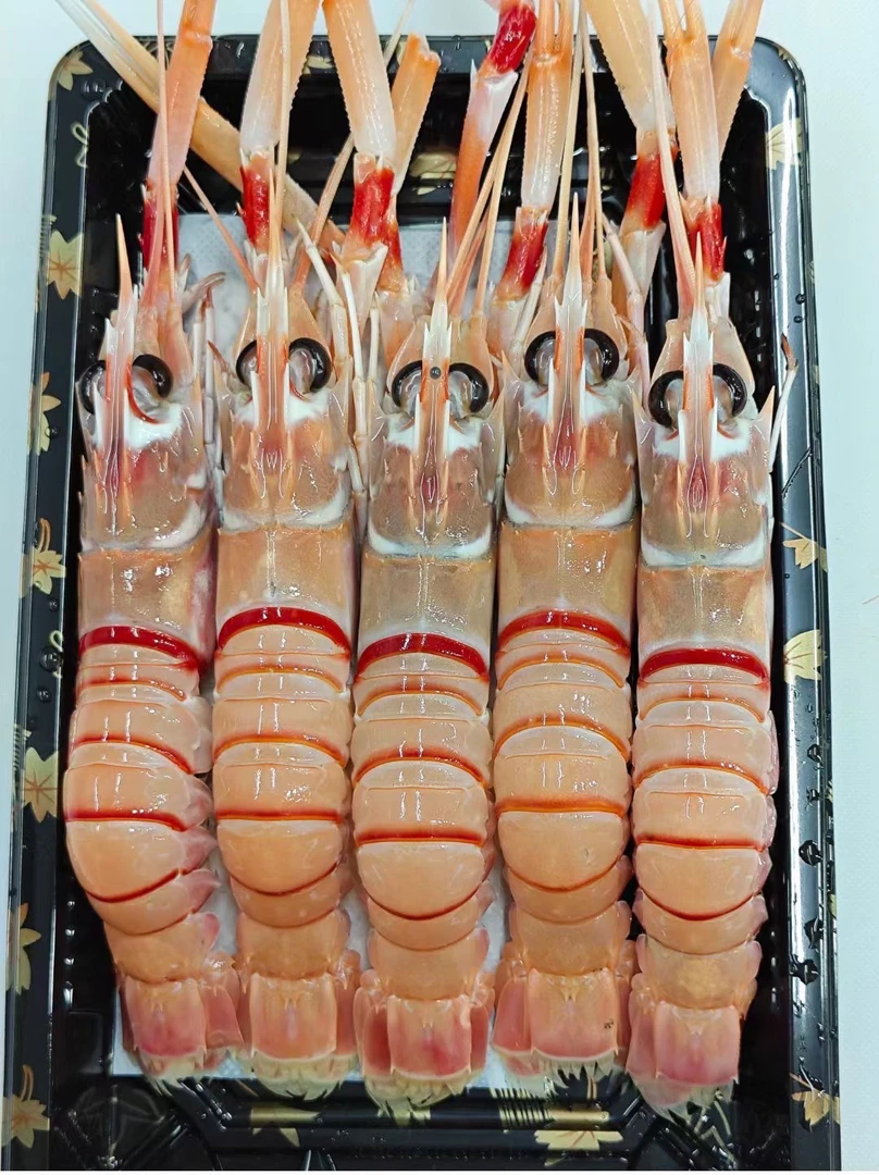 新西兰鳌虾1只（约80克）