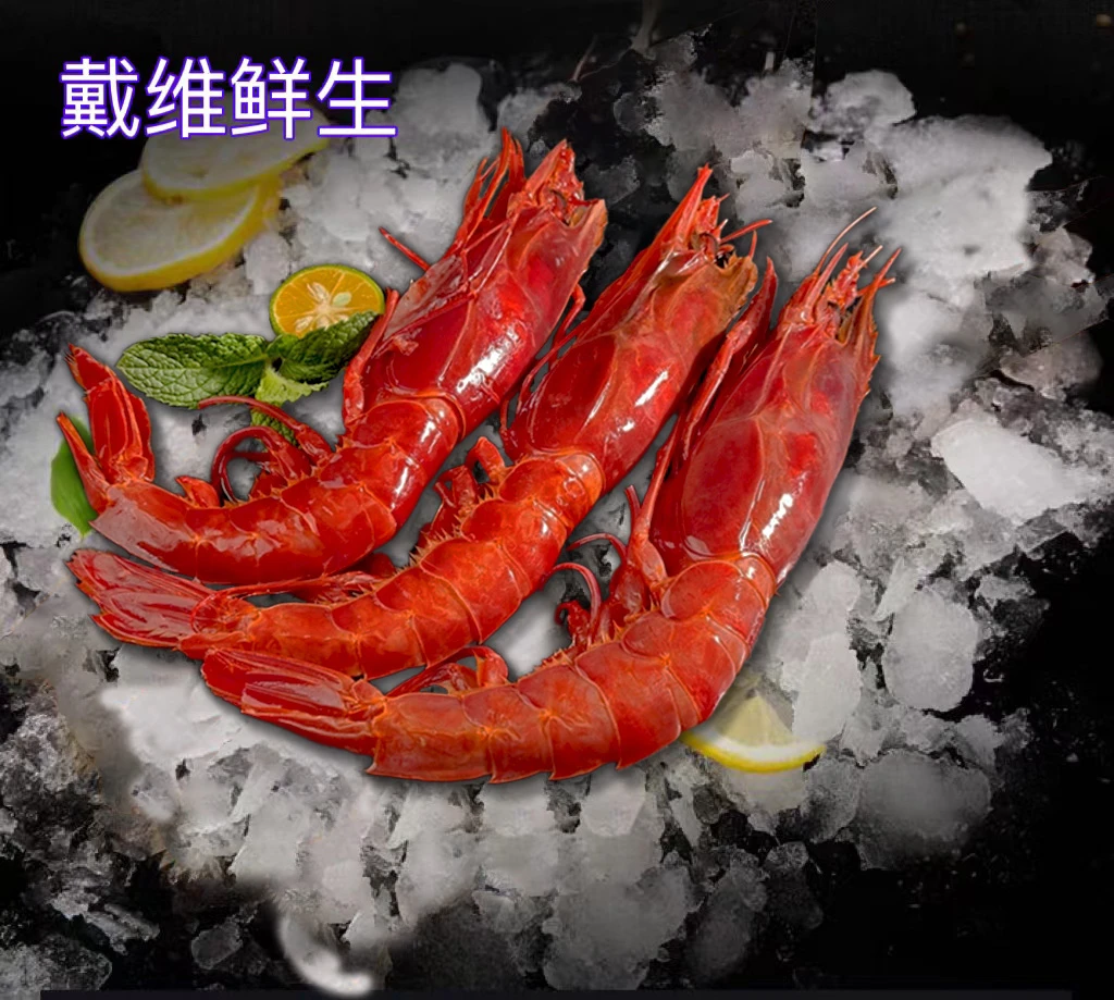 活冻红魔虾1斤（5-6只）