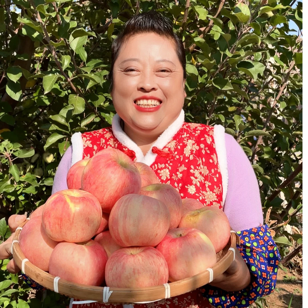 东北辽宁红富士苹果5.2斤整箱包邮