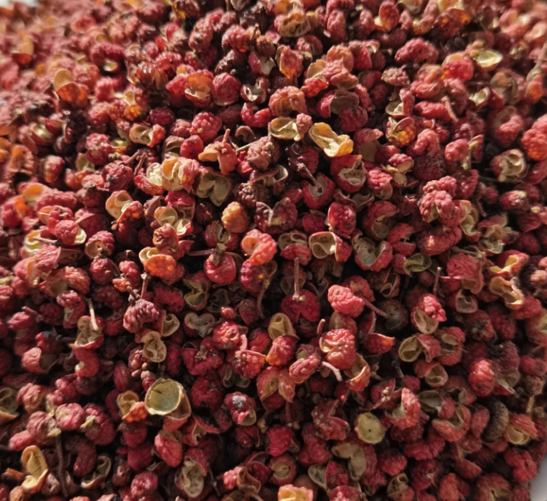 甘肃天水高山旱地2025年新大红袍花椒