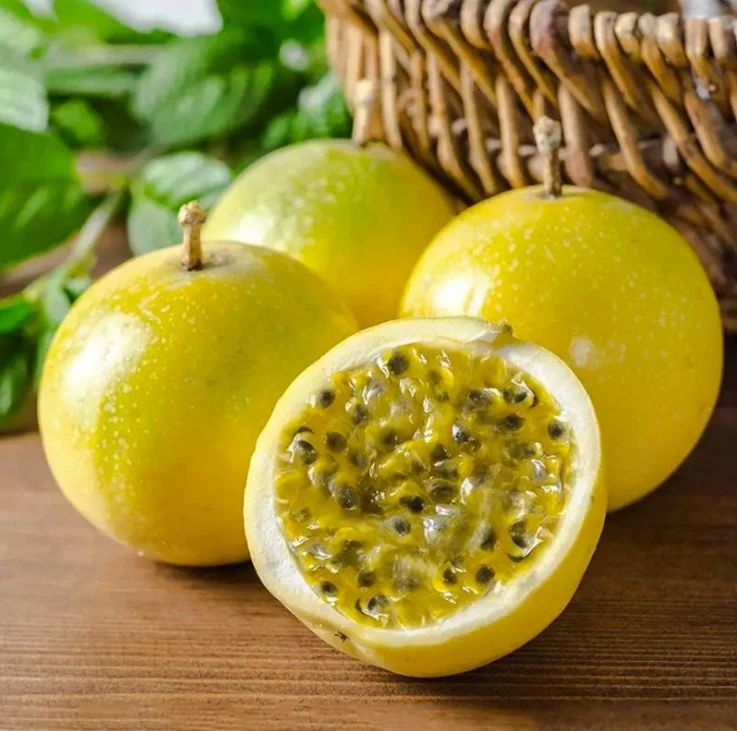 秋季甜蜜蜜百香果