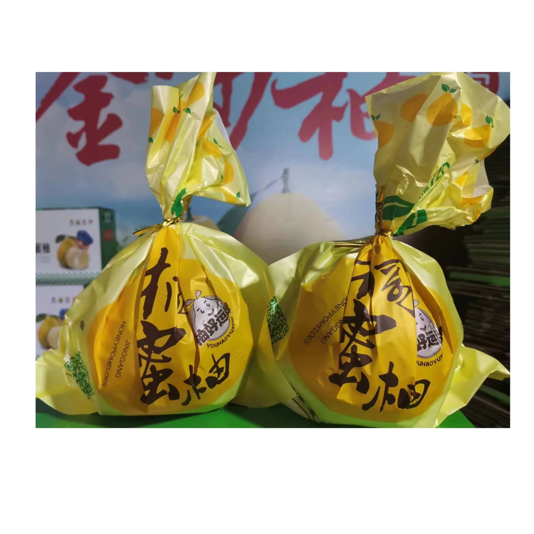 江西井冈蜜柚金沙柚(2个装约1200克)