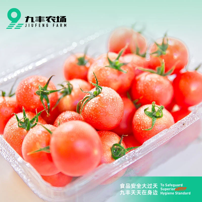 九丰农场新鲜农产品小番茄，现摘现发营养美味酸甜可口2KG