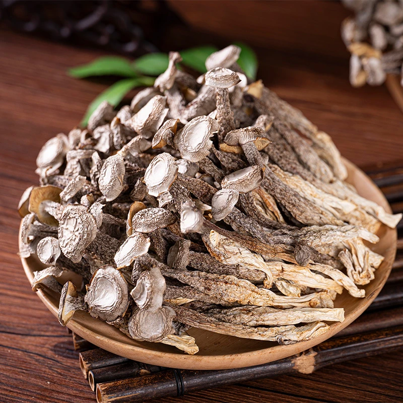 精选鹿茸菇干货炖汤无干燥剂