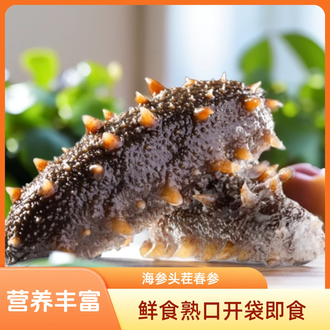 福辈儿【鲜食熟口开袋即食海参头茬春参】14-20头海洋0脂肪低卡海参
