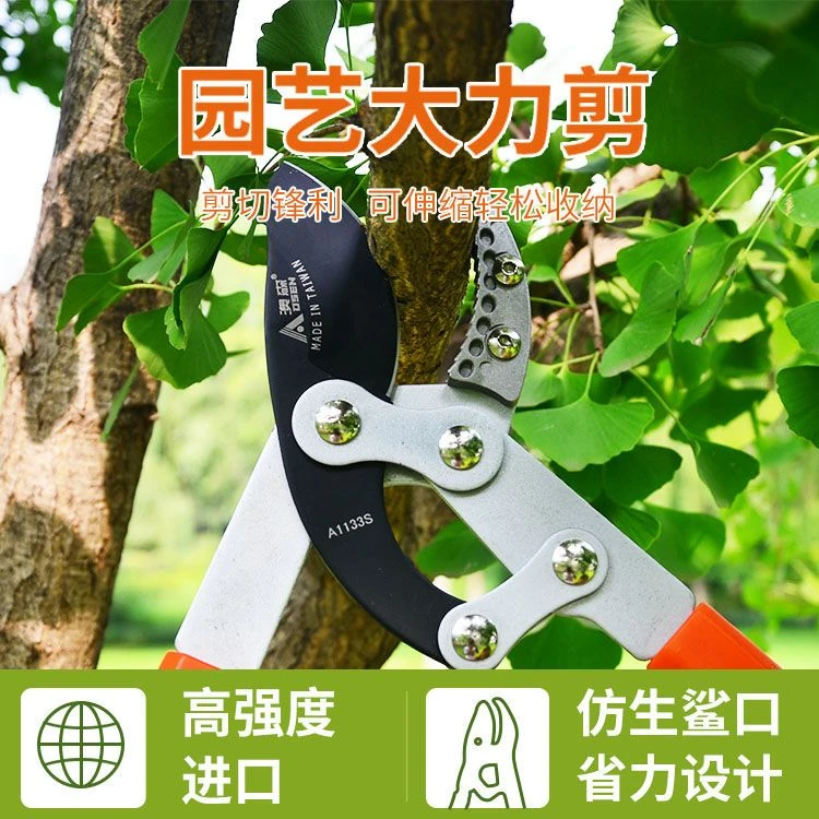 粗枝剪伸缩剪刀修剪果树修剪刀大号大剪刀进口军工果树剪省力园林