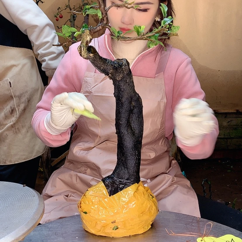 【闪购商品】心**闲875