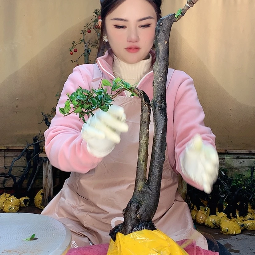 【闪购商品】1六*出j就快坎坎坷坷
