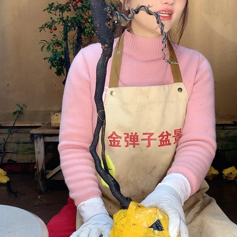 【闪购商品】145༺****865457