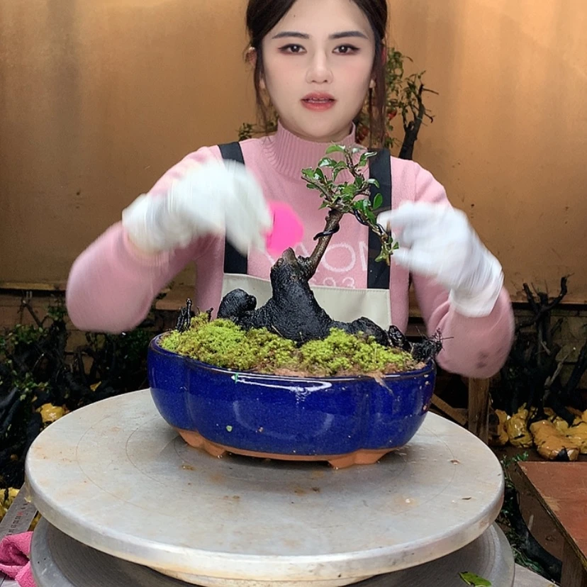 【闪购商品】秋*金弹子这个很好
