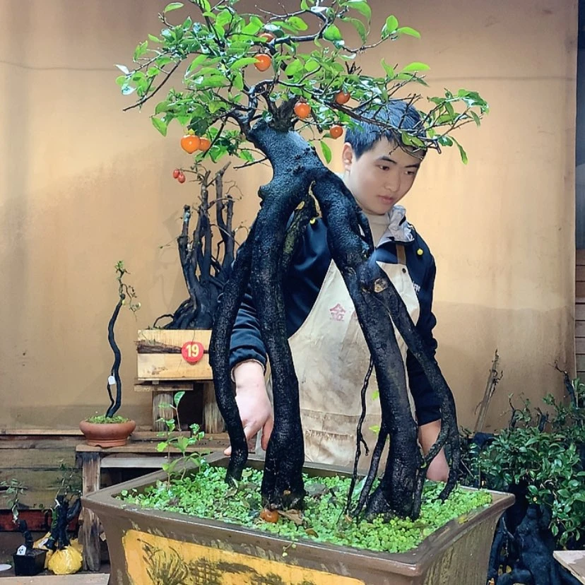 【闪购商品】山*水金弹子