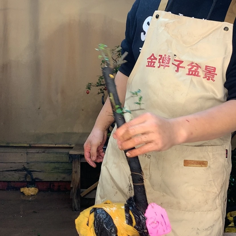 【闪购商品】天*345667