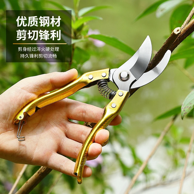 粗枝果树修枝剪刀园艺修剪树枝园林省力修花枝剪家用花卉果枝剪子