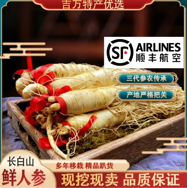 2号【优质直条一斤装】长白山泡酒煲汤大参送礼新鲜人参产地直发