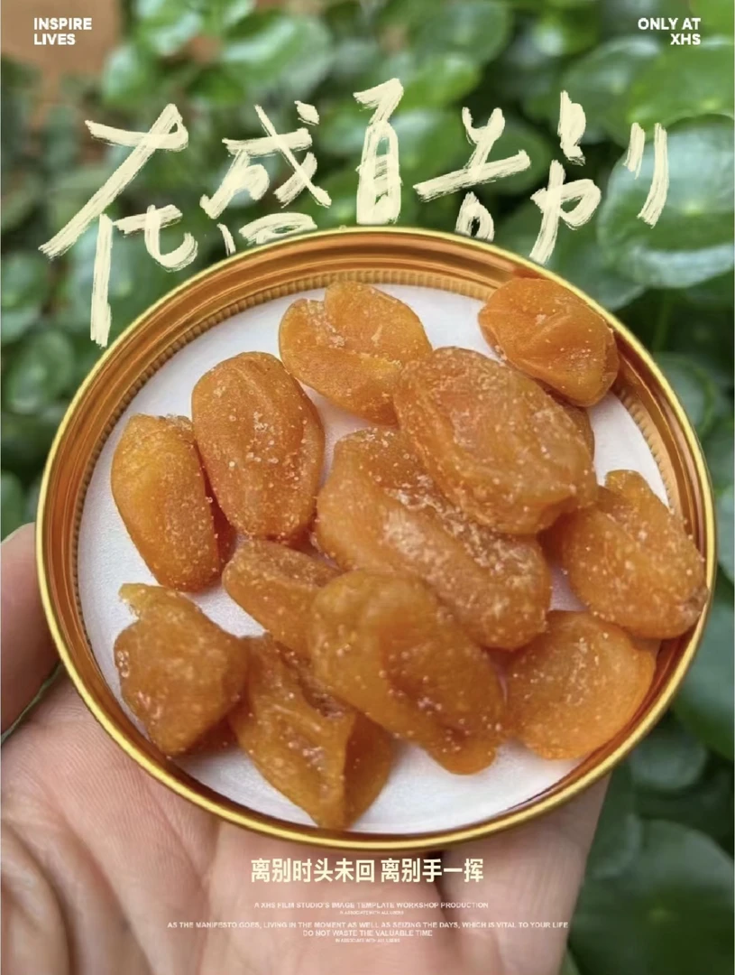 新兴竹蜂盐无核黄皮干 茶点 零食 凉果 蜜饯 咸味喉不适营养原味