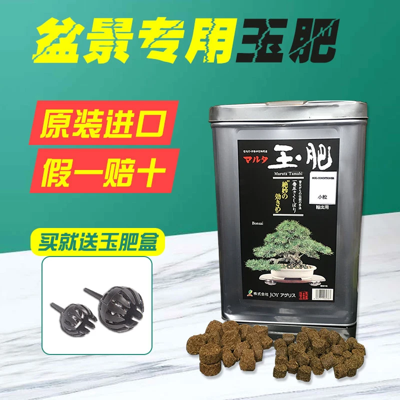 日本进口玉肥肥料盆景专用颗粒缓适肥送肥料盒松柏杂木专用有机肥