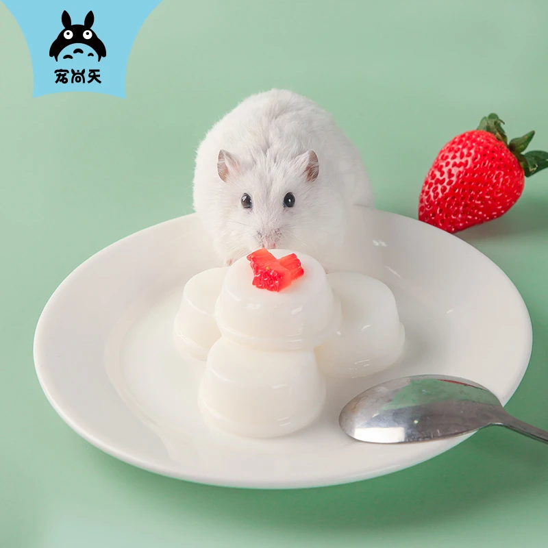 【直播推荐】仓鼠馋嘴营养零食套餐羊奶布丁果蔬磨牙饼干金丝熊