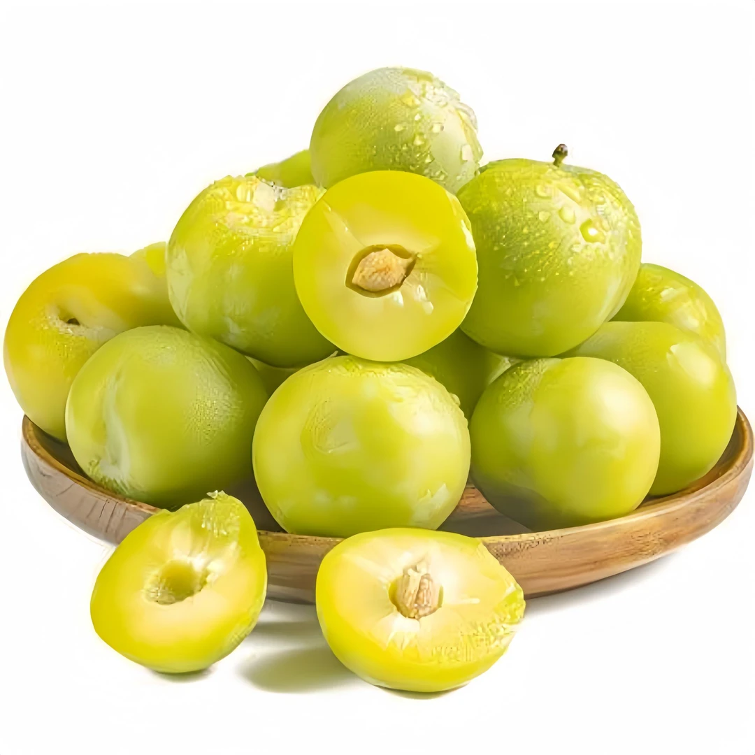 苗阁园艺正宗嫁接【蜂糖李】裸根苗高成活庭院阳台楼顶种植李子苗