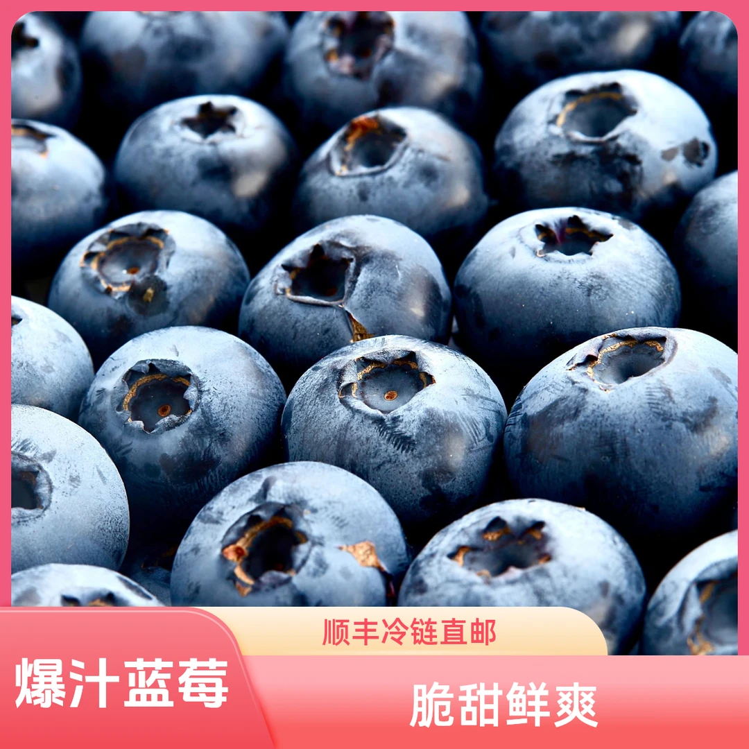 蓝莓大果 15+ 大连直发 顺丰包邮新鲜