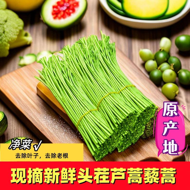 现摘新鲜农家蔬菜嫩芦蒿杆子藜蒿黎蒿手工去叶老根净菜柳泥蒿野菜