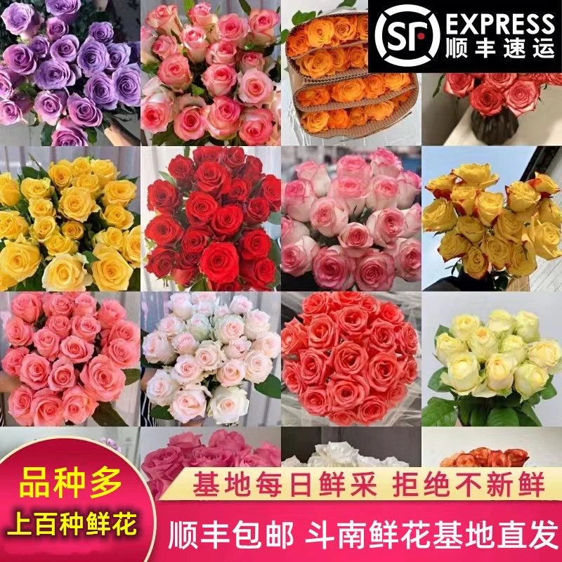 玫瑰鲜花基地直发顺丰包邮