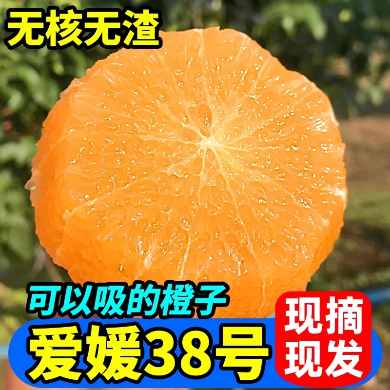 正宗爱媛38号薄皮果冻橙新鲜水果当季整箱四川柑橘桔手剥橙子