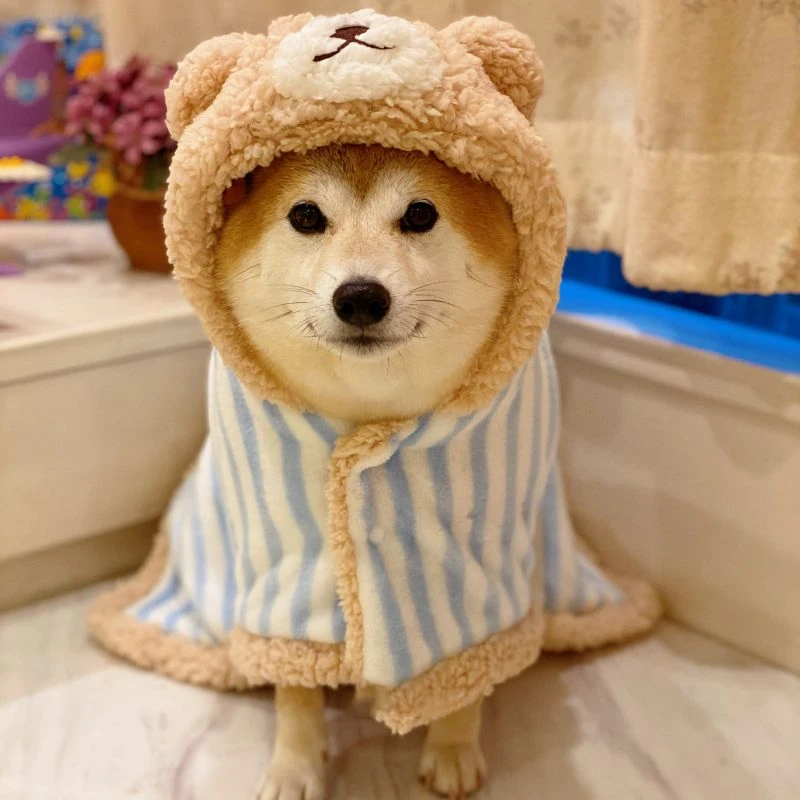 小熊狗狗衣服柴犬柯基保暖毯子披风睡袍宠物可爱小型犬睡衣幼犬