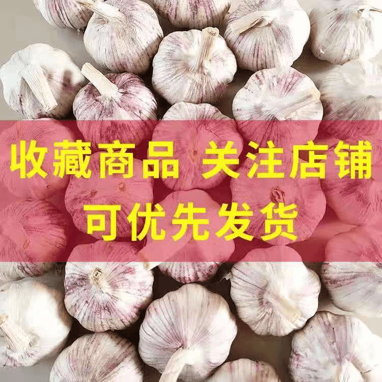 【阿昊】23年新干蒜大蒜头干蒜紫白皮大蒜腊八蔬菜新鲜蔬菜农家自种