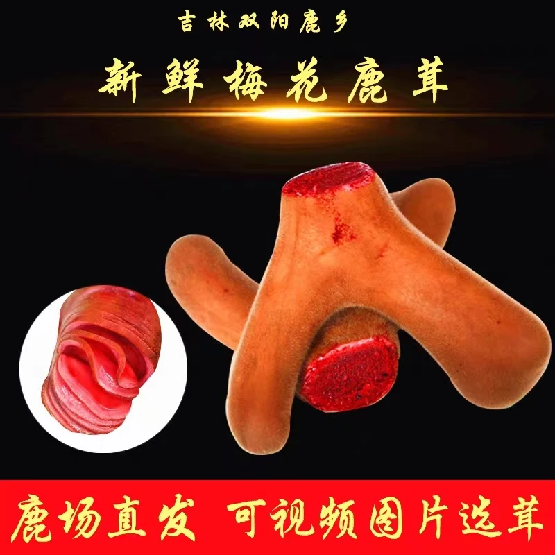 新鲜鹿茸原产地直发以直播间称重截图为准