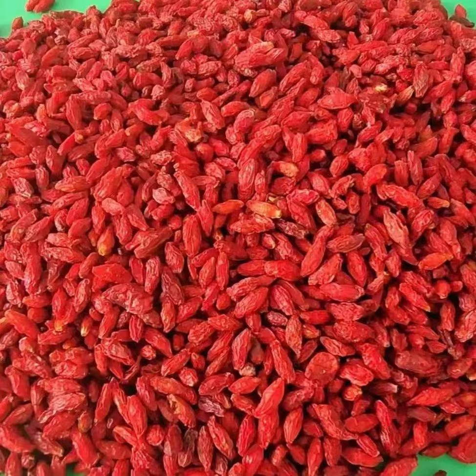 长白山大山里的枸杞