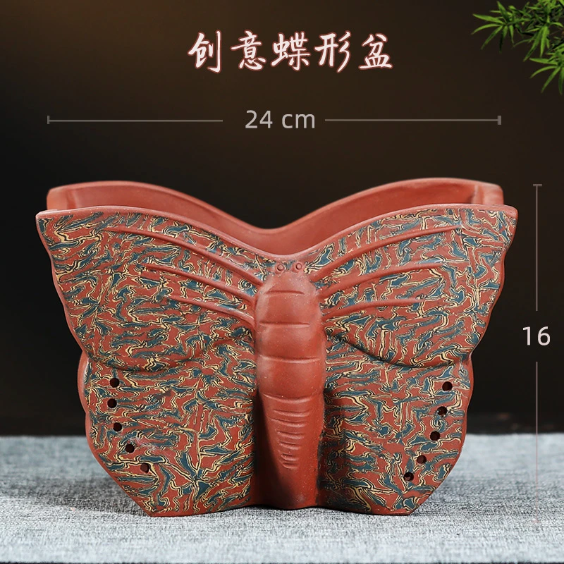紫砂盆个性创意花盆君子兰蝴蝶兰花盆客厅家用室内漂亮特色花盆