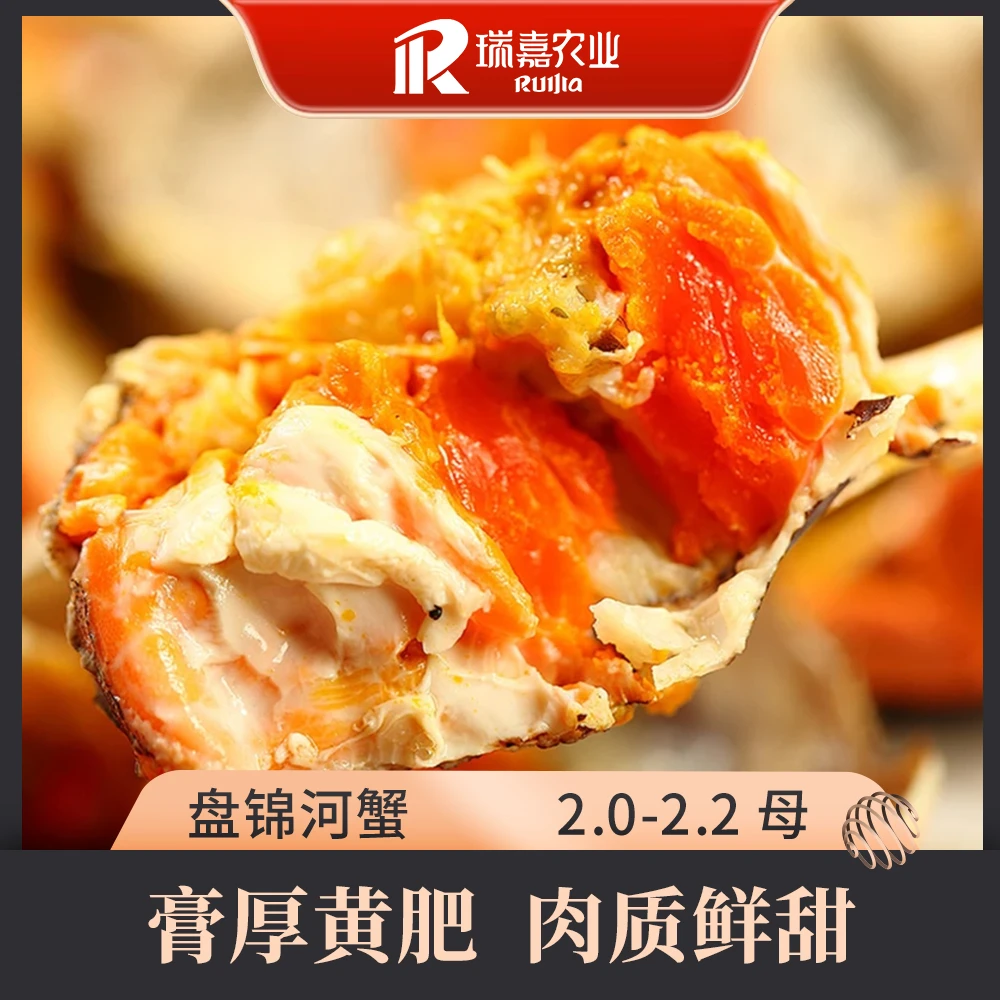 【活蟹】瑞嘉 盘锦河蟹 2.0-2.2两/只 全母 8只绑腿发货