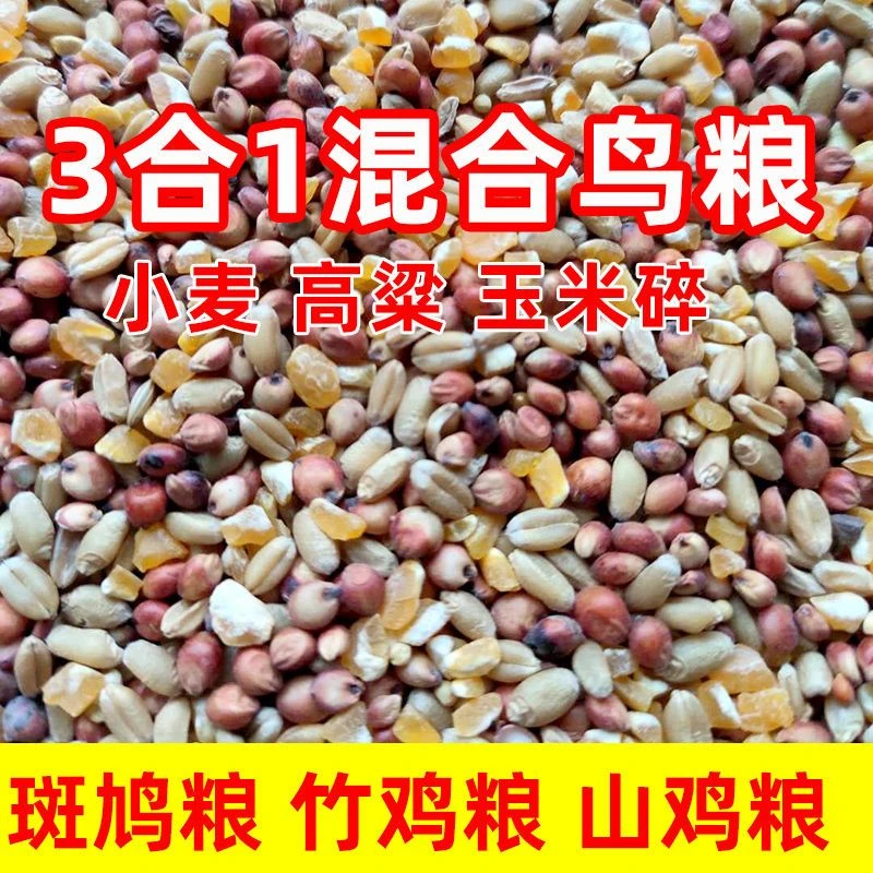 斑鸠粮食斗鸡粮鸽粮食营养饲料鸟食信鸽观赏鸽赛鸽通用幼鸽成鸽粮