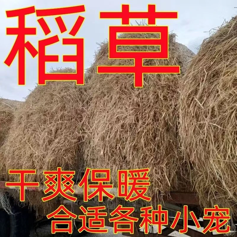 稻草纤维柔软舒适宠物垫窝保暖狗狗草窝干稻草晒干碎稻草兔子草