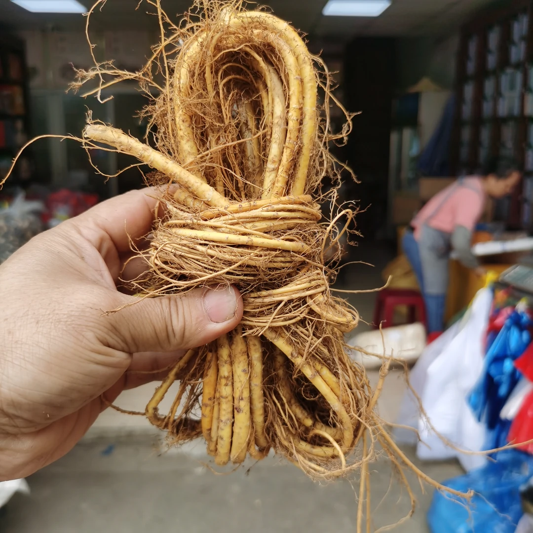 新鲜桑树根 炖肉煲汤食材