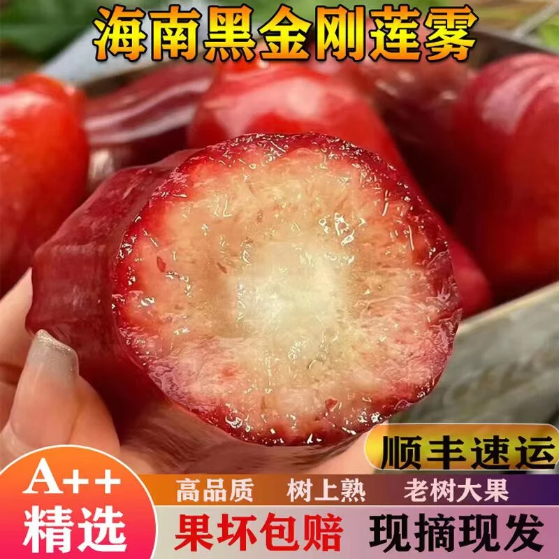 亨鲜 海南三亚黑金刚莲雾 清甜多汁松脆爽口新鲜孕妇水果顺丰包邮