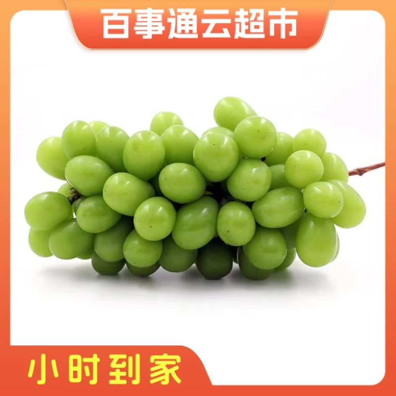 新鲜美味阳光玫瑰葡萄1斤