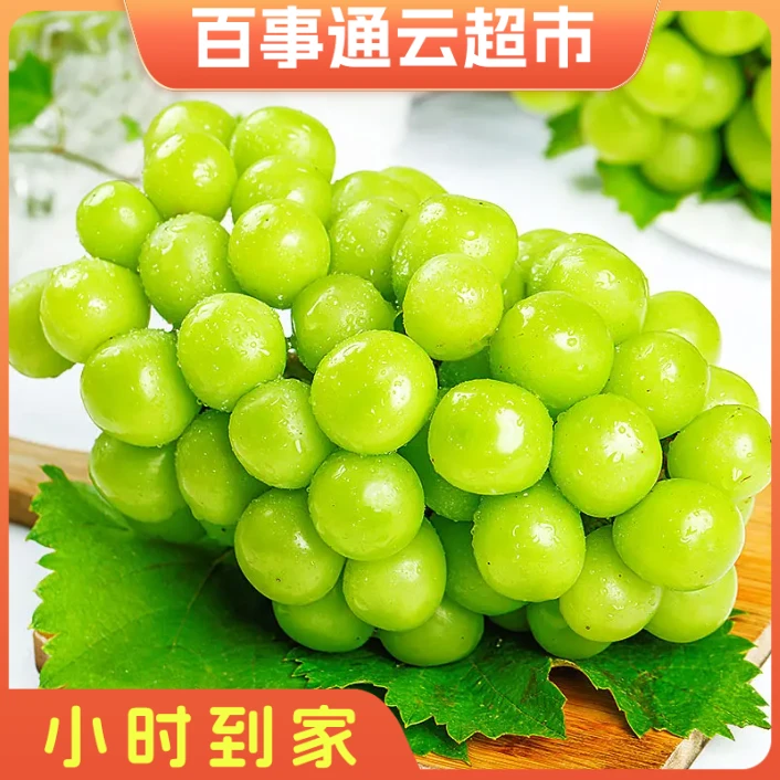 阳光玫瑰新鲜水果