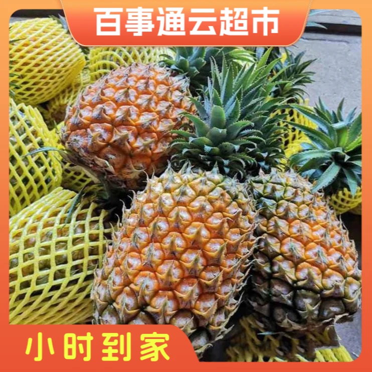 新鲜菠萝水果1个装2斤左右