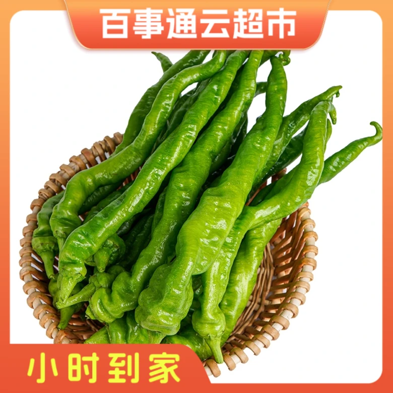 1斤装螺丝椒
