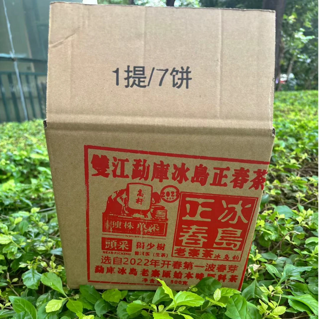 2022双江勐库冰岛正春茶 生茶 普洱茶 500g
