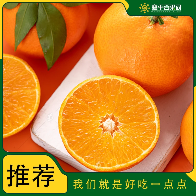 【店长推荐】水炸弹爱媛果冻橙约1180G±20G /多汁皮薄化渣/整箱